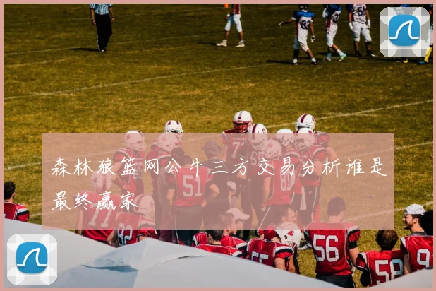 森林狼篮网公牛三方交易分析谁是最终赢家