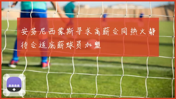 安芬尼西蒙斯寻求高薪合同热火静待合适底薪球员加盟