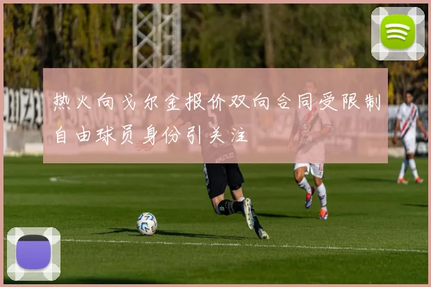 热火向戈尔金报价双向合同受限制自由球员身份引关注