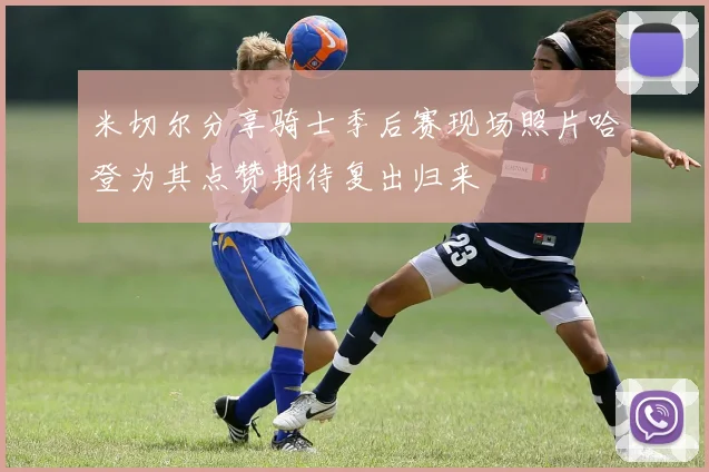 米切尔分享骑士季后赛现场照片哈登为其点赞期待复出归来
